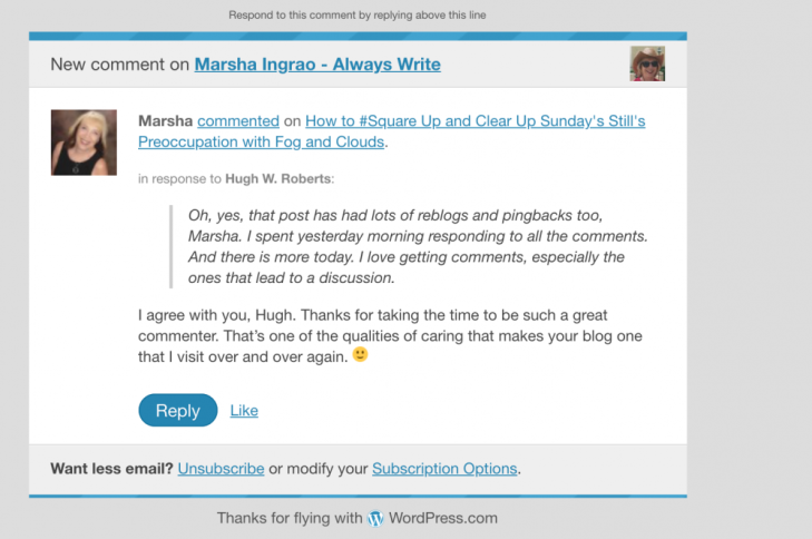 Image on a comment left on WordPress blog highlighting how leaving meaningful comments work